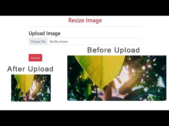 Resize Image Using Intervention Image Library