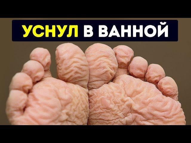 55 фактов о вашем теле, которые вас удивят