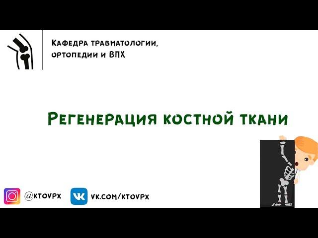 Регенерация костной ткани | Травматология и ортопедия