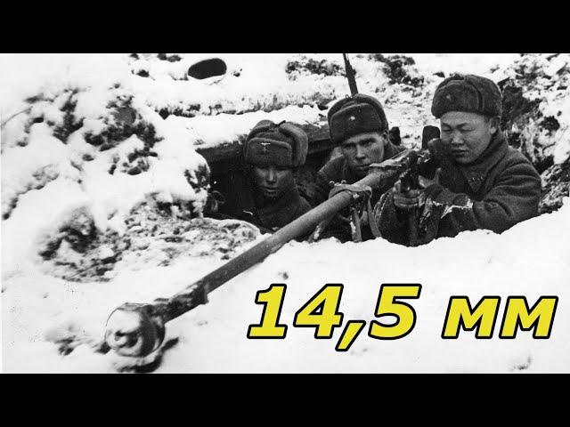 Винтовка 2021 с 1941 года. Украинские новинки, калибр размышления. Обзор, мнение об оружии