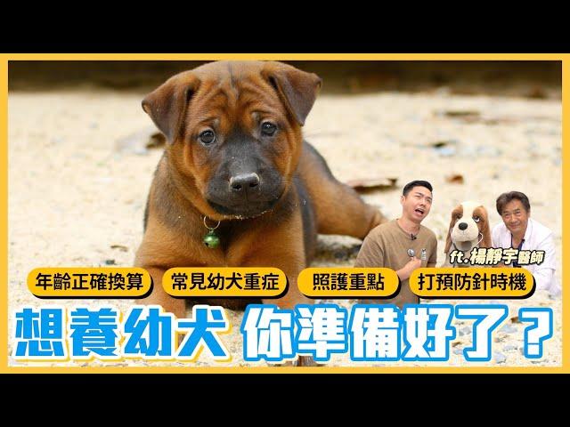 想養幼犬，你準備好了嗎？｜熊爸估狗