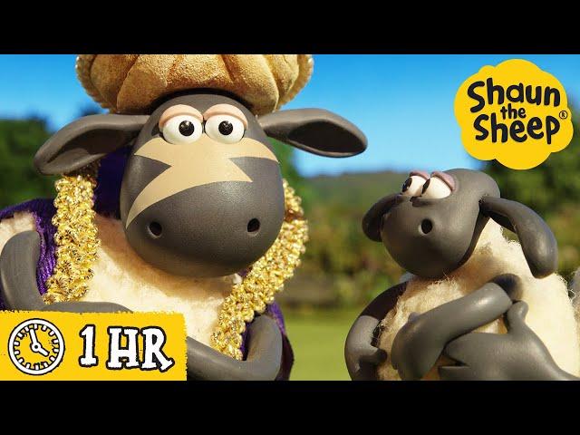 Shaun the Sheep  Timmy's GIANT Pizza Wish & MORE  Full Episodes Compilation