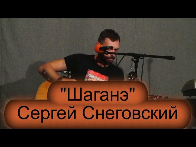 Школа рока. Акустика 15. Сергей Снеговский. "Шаганэ"