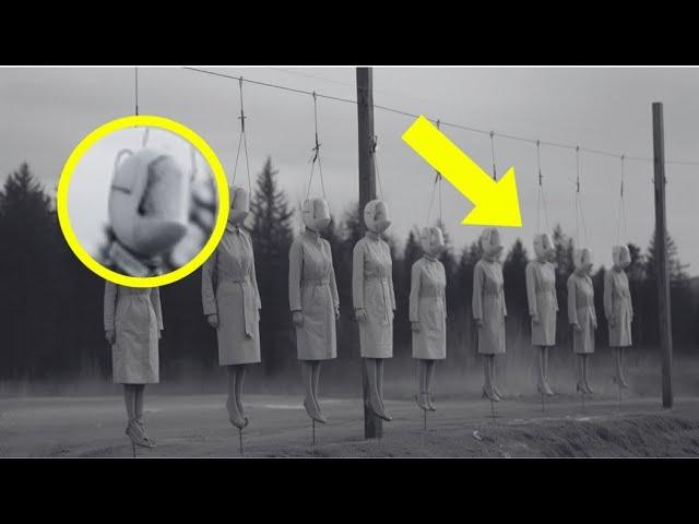 What They NEVER Told You About the ROUGH Executions of Nazi Officers