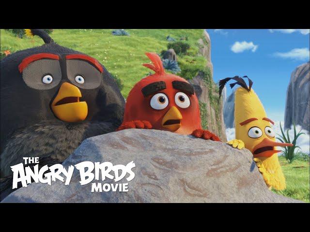 The Angry Birds Movie 2016 Movie || The Angry Birds Movie || The Angry Birds Movie Full Facts Review