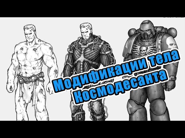 Warhammer 40000. Физиология астартес. Так ли хороши Воины Императора?