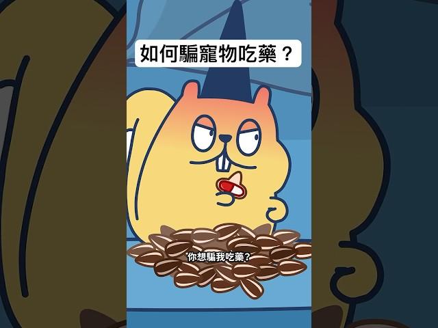 寵物餵藥方式｜#床編故事