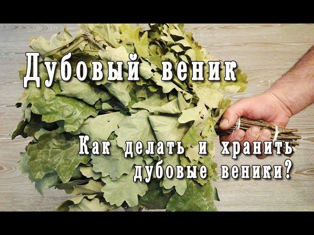 Дубовые веники. Как делать. Как хранить