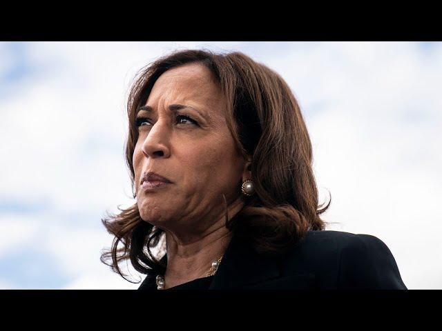 Democrats realised they are now ‘stuck’ with Kamala Harris