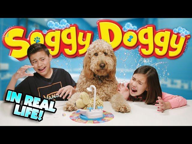 SOGGY DOGGY GAME CHALLENGE IN REAL LIFE!!! Loser Gives Chloe a Bath!