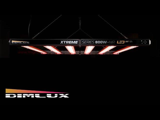 Dimlux Xtreme Mk II 800W NIR grow light review