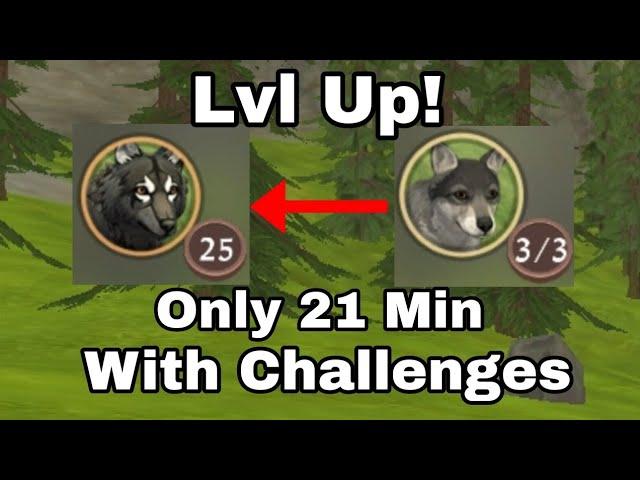 Lvl Up with Challenges//Wildcraft From Lvl 0 to 25!