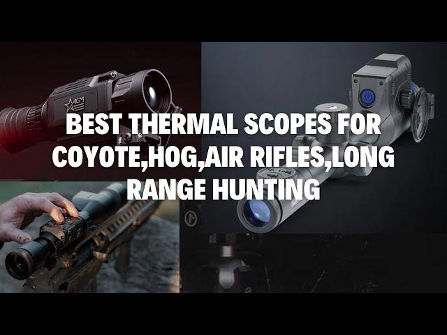 6 Best Thermal Scopes for AR15, Air Rifle, Coyote, Hog Hunting 2024