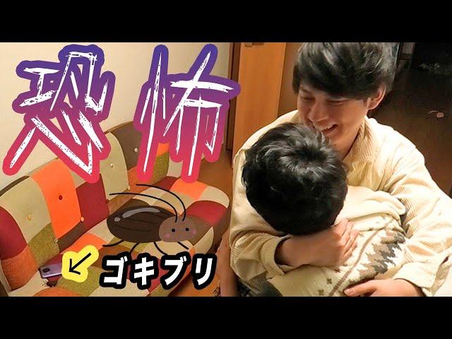 SUB)「Gay couple」My prank that my junior partner got surprised by cockroach’s toy.