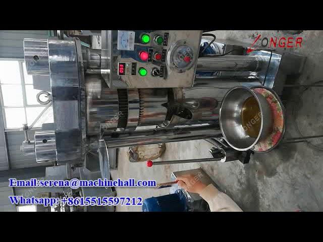 1-20 Kg / Time Moringa Seeds Oil Press Machine Factory Price