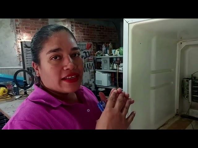 Que hacer si tu refrigerador congela demasiado