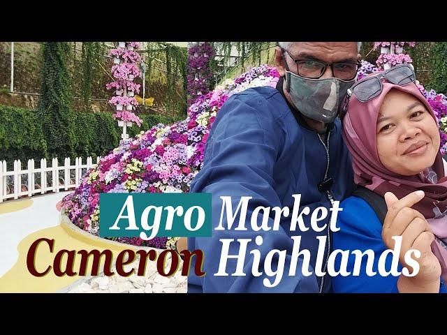 Cantik Bunga2 di Agro Market Cameron Highlands