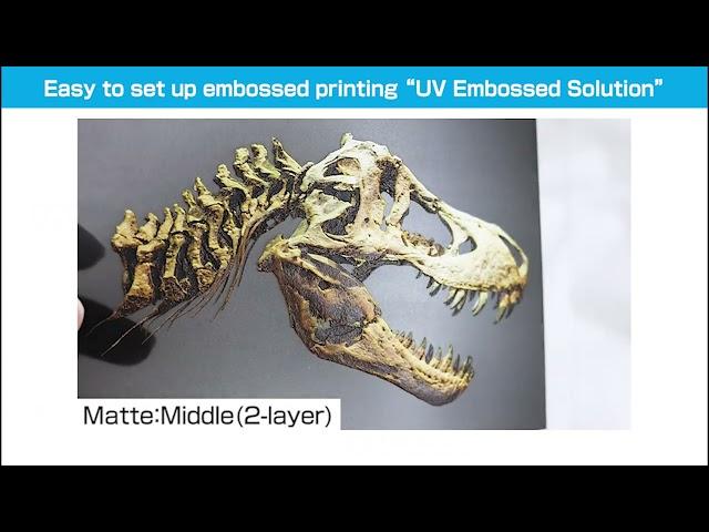 Emboss Presets and Structure Library for Mutoh UV LED DTO printers.