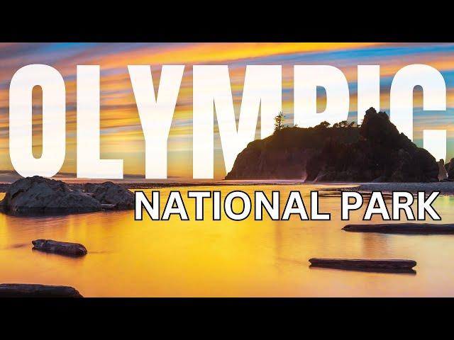 The ULTIMATE TRAVEL GUIDE to Olympic National Park