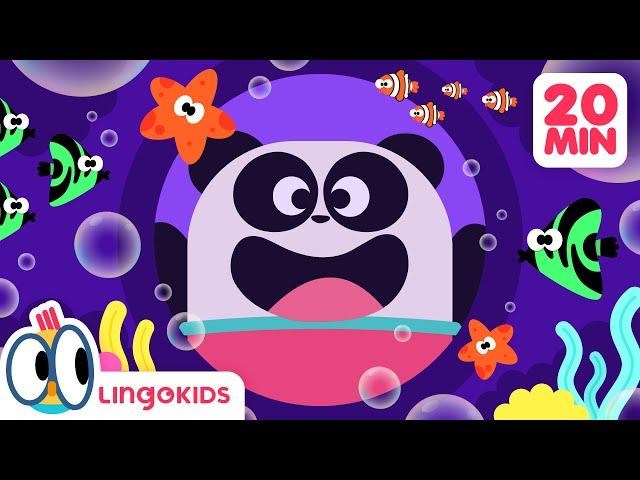 SHARK SONGS  Learn and Sing with Lingokids + Ocean Adventures