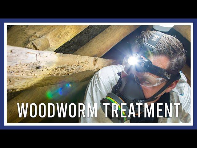 Woodworm treatment