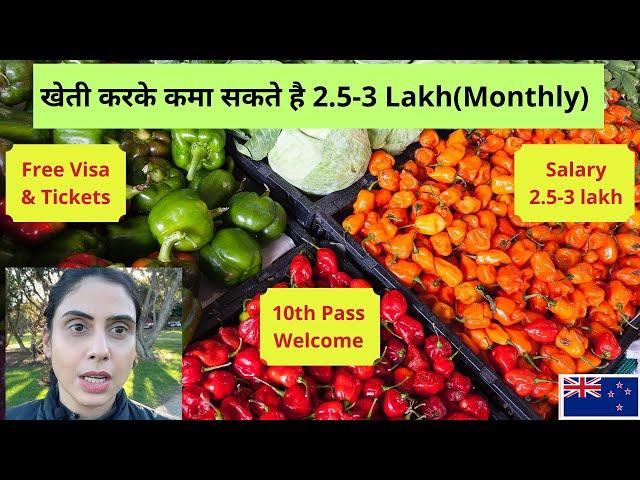 New Zealand Farming Jobs |New Zealand Work Permit |New Zealand Seasonal Work Visa|Fruit Picking Jobs