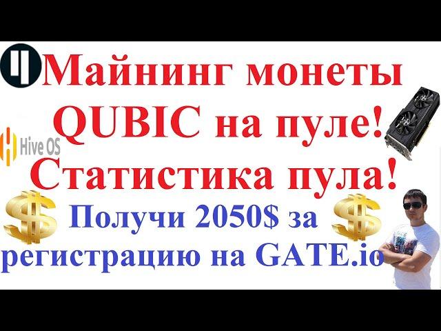 Майнинг монеты QUBIC на пуле! Статистика пула! Hive OS!