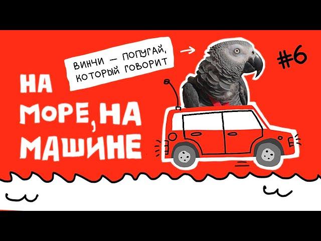 Винчи едет на море, на машине и выдает перлы :)) Это очень смешно!