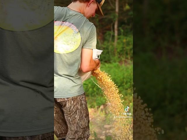 Deer season prep #feathersandfins #deerhunting #deerseason #hunting