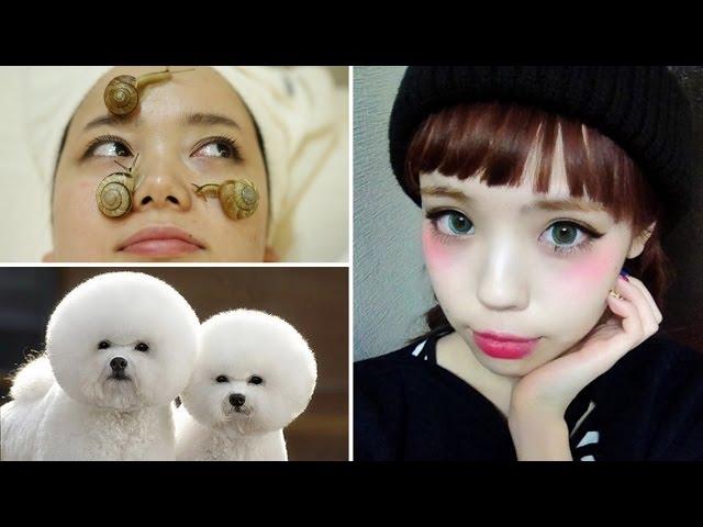 8 More Weird Asian Trends That Might Surprise You