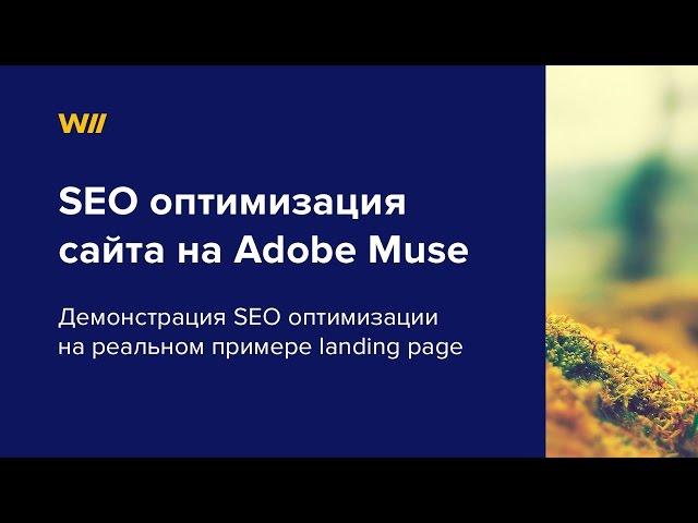 SEO оптимизация сайта на Adobe Muse