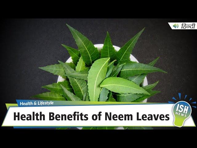 Health Benefits of Neem Leaves | ISH News