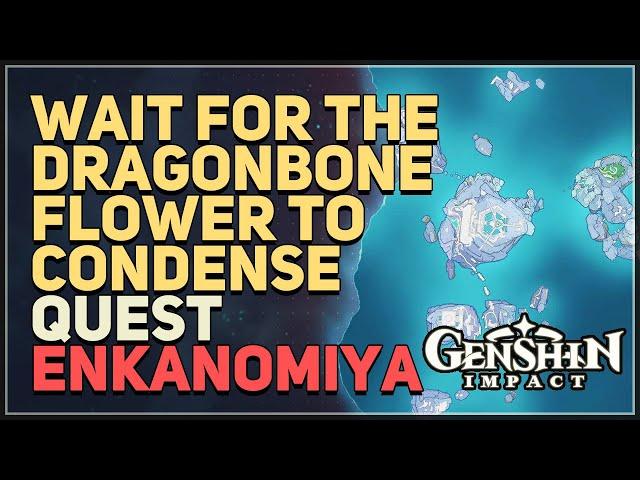 Wait for the Dragonbone Flower to condense Genshin Impact