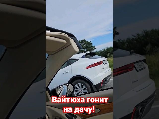 #mercedes #mb #mercedesbenz #sl #r230 #mrwhitedog #chihrussia #shorts #youtubeshorts #youtube #dog