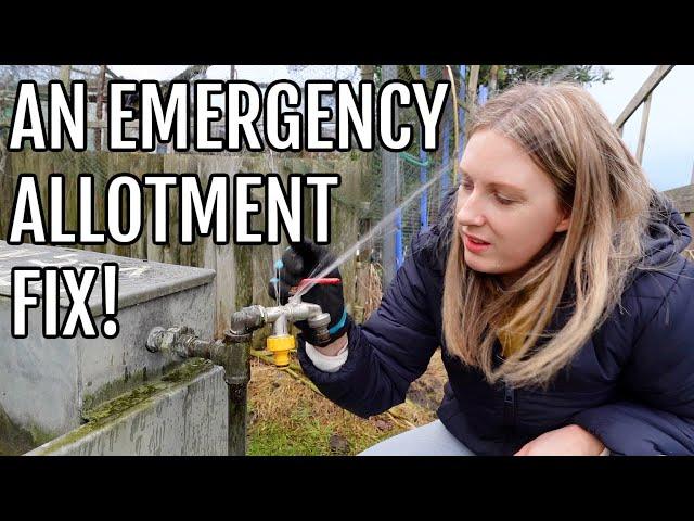 AN ALLOTMENT EMERGENCY! / ALLOTMENT GARDENING UK