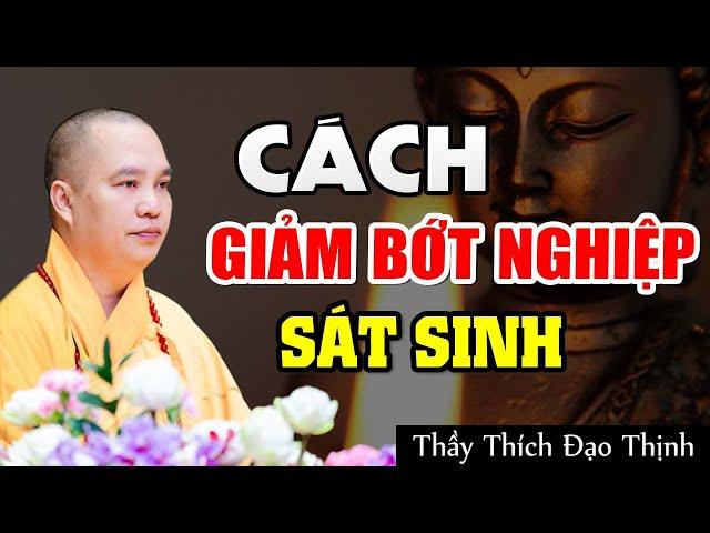 Cách Giảm Bớt Nghiệp Sát Sinh - Thầy Thích Đạo Thịnh