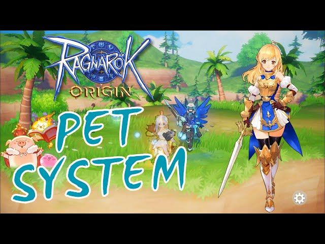 Pet Guide for Beginners in Ragnarok Origin Global Server