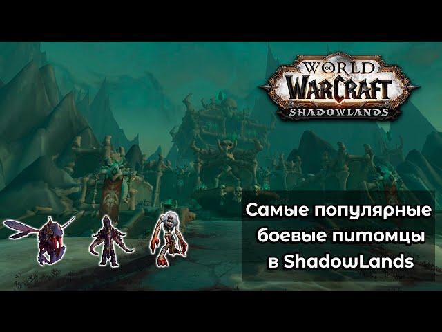 Самые лучшие и популярные боевые питомцы в World of Warcraft: ShadowLands