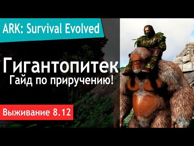 Ark: Survival Evolved - s.8.12 - Гигантопитек (Gigantopithecus). Гайд по приручению.