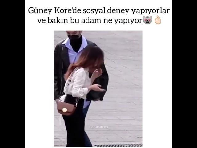 Kore'de sosyal deney