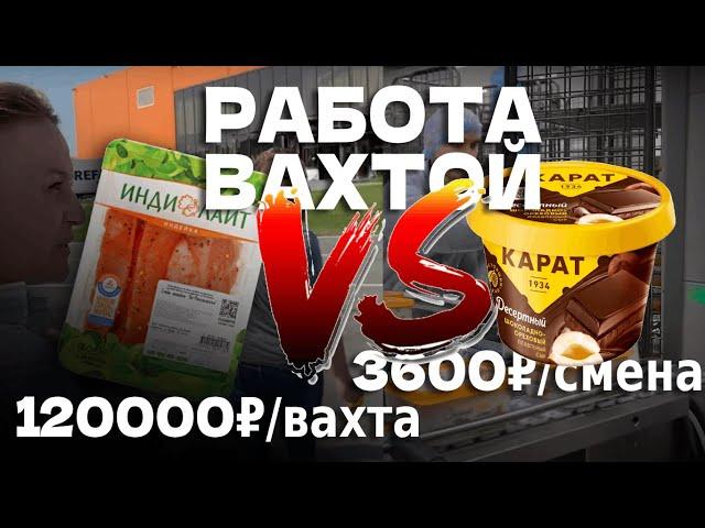 Устроились на две РАБОТЫ ВАХТОЙ! - ГДЕ ЛУЧШЕ? На сырах "Карат" или индейка "Индилайт"