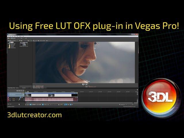 Using Free 3D LUT Creator OFX plug-in in Vegas Pro!