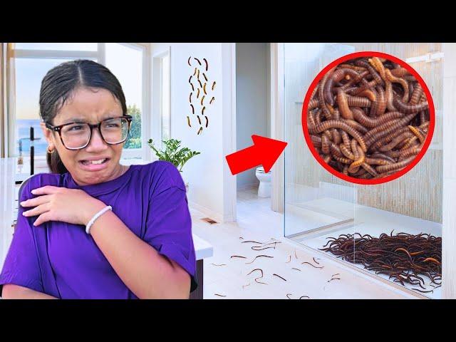 We FOUND WORMS inside our NEW HOUSE!