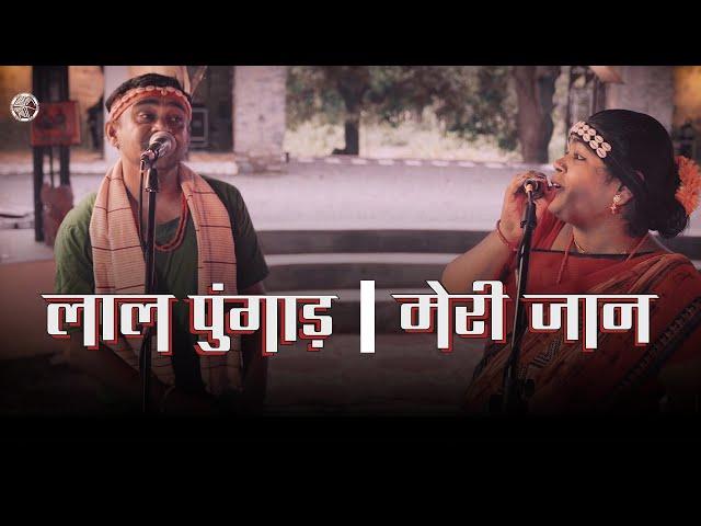 Laal Pungaad | Meri Jaan | Daira’s Jaadoo Bastar | Official Music Video