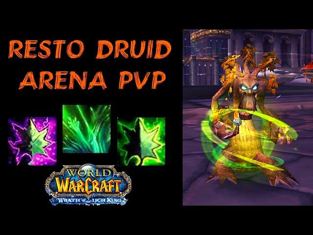 RESTO DRUID PvP +2400 - WotLK Classic