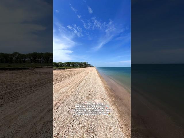 Должанская 7 мая 2025 залив сегодня#должанская #ейск #море #пляж #shorts #tiktok #весна #отдых #юг