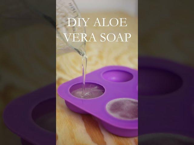 Diy aloe vera soap (simple version for beginners)