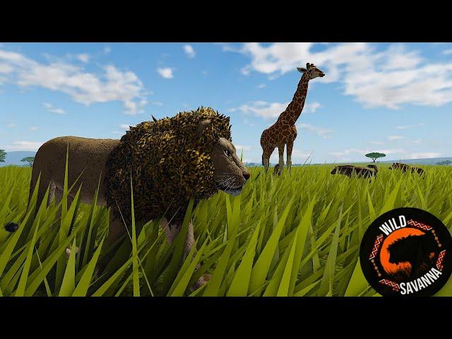 How I Survived Solo as a Lion in Wild Savanna