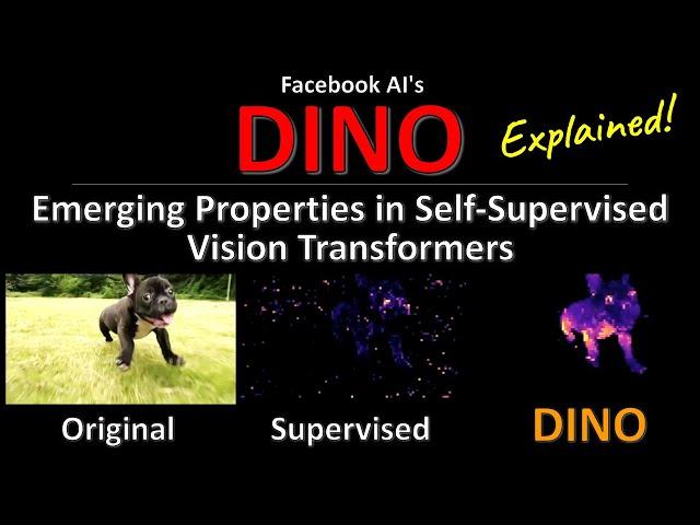 DINO: Emerging Properties in Self-Supervised Vision Transformers (Facebook AI Research Explained)