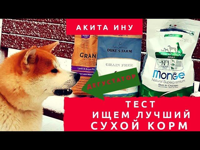 Тест и дегустация СУХОГО КОРМА для собак. Дегустирует собака :-) как ни странно!